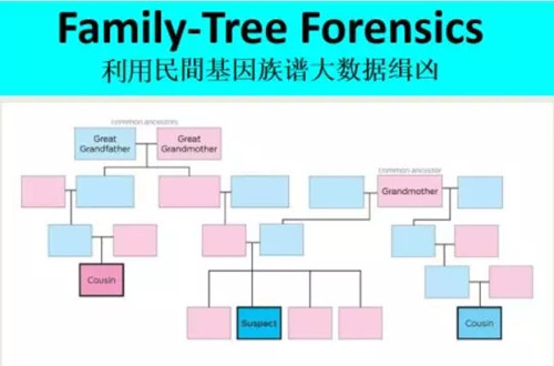 第三届国际司法警政刑侦科学教育文化会议（下）(图25)