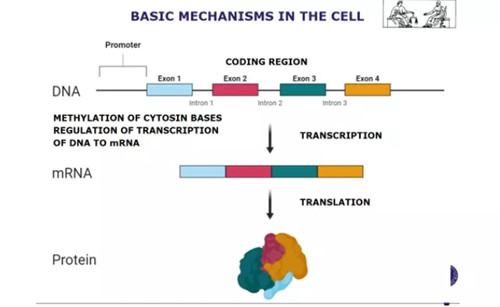 第三届国际司法警政刑侦科学教育文化会议（下）(图17)