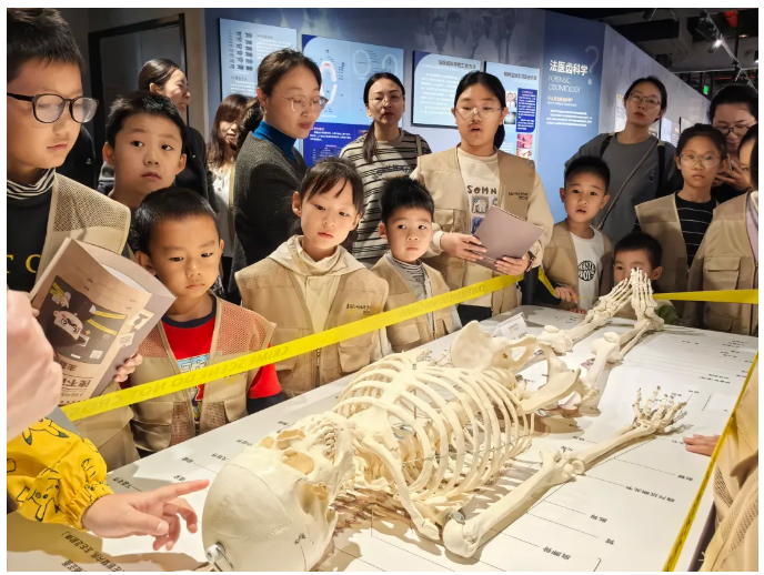 活动回顾 | 小小侦探训练营⑤ ——迷失的少年(图2) image.png